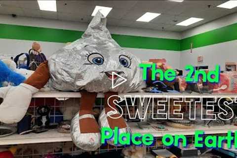 The 2nd Sweetest Place on Earth! - Shop Along With Me - Goodwill Thrift Stores