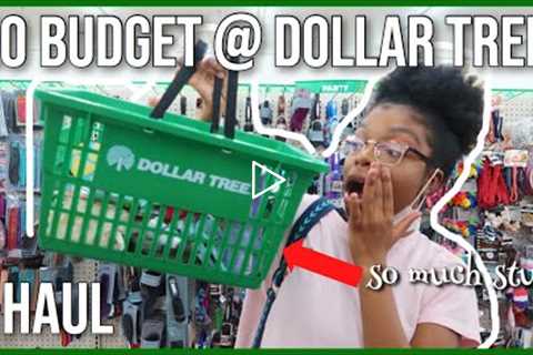 DOLLAR TREE NO BUDGET SHOPPING SPREE! | + BIG DOLLAR TREE HAUL