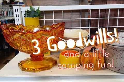 Three Goodwills and a Little Camping Fun! - Shop Along With Me - Goodwill Thrift Stores