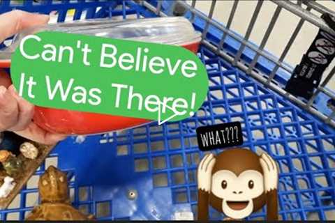 Can't Believe It Was There! - Shop Along With Me - Goodwill Thrift Stores