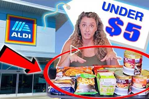 TOP 5 Items You NEED at ALDI in September 2022 🚨 | Aldi Grocery Haul