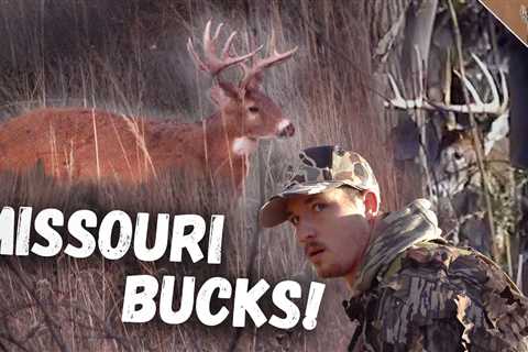 Finding LOCKED DOWN BUCKS! – River Bottom Rut Tactics