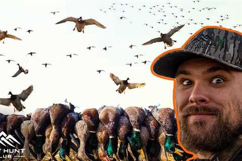 DECOYING HUGE FLOCKS OF DUCKS | Duck Hunting 2022