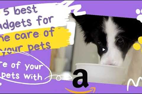 BEST 5 gadgets for the CARE of your PETS AMAZON 🐕🐈