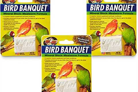 (3 Pack) Zoo Med Bird Banquet Mineral Blocks - Mealworm Formula - Small (1 Ounce Per Pack)