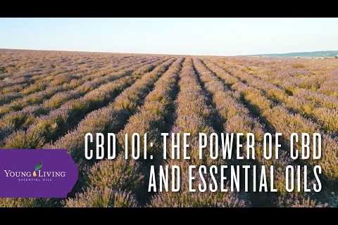 CBD 101: The Power of CBD and Essential Oils | Young Living Essential Oils