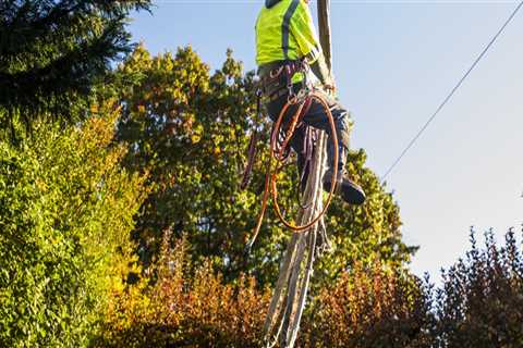 Finding the Right Operator for Your Tree Service Equipment