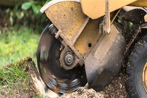 How Much Does Tree Service Equipment Cost? A Comprehensive Guide