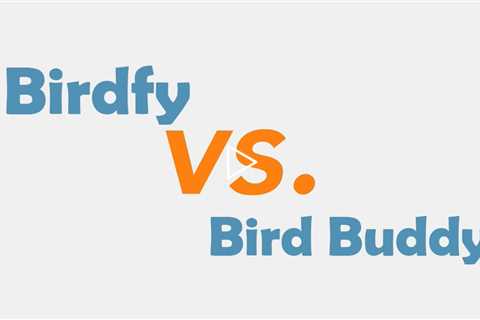 Birdfy vs Bird Buddy