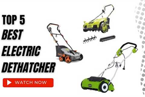 Best Electric Dethatcher On Amazon / Top 5 Product ( Reviewed & Tested )