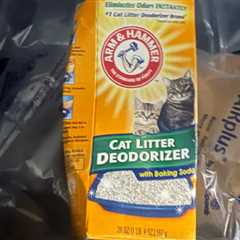 Arm & Hammer Cat Litter Deodorizer Only $1.76 Shipped on Amazon