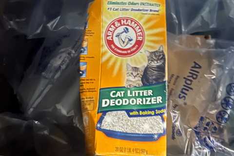 Arm & Hammer Cat Litter Deodorizer Only $1.76 Shipped on Amazon