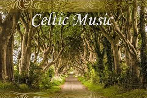 Celtic Instrumental Relaxing Music St Patrick''s Day Music by Tim Janis