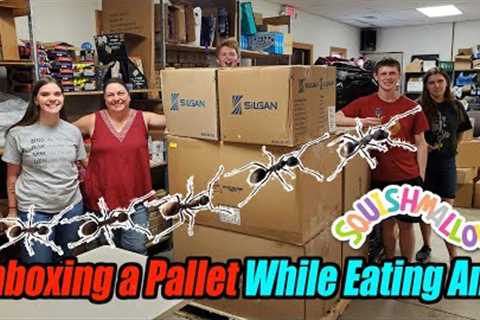 Unboxing a Pallet While the Staff is Eating Ants, & Squishing Boxes, and Showing Candy! We Have ..