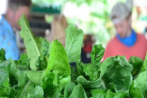 Exploring the Best Farmers Markets and Stands on Oahu