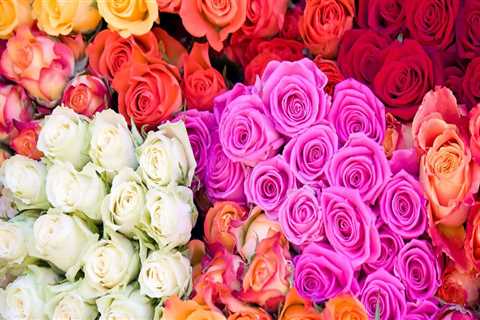 Is it cheaper to buy flowers from a wholesaler?