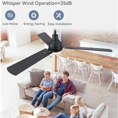 ZMISHIBO 52 Inch Ceiling Fan with Light Remote Control Review
