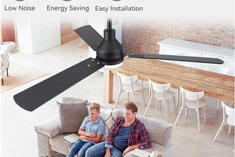 ZMISHIBO 52 Inch Ceiling Fan with Light Remote Control Review