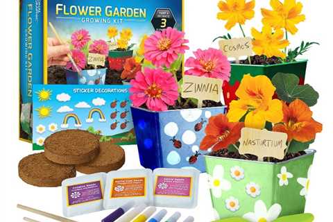 National Geographic Flower Growing Garden, Giant Slime Making Kit, Hot Wheels Truck RC Car & more..