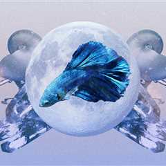Pisces Monthly Horoscope for May 2023 — Read Your Sign's Love and Career Predictions