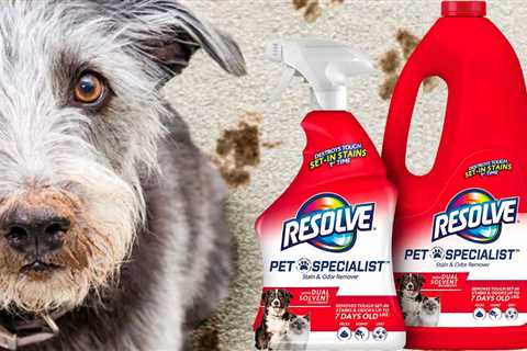 Resolve Pet Specialist Carpet Cleaner w/ 60oz Refill Only $12.70 Shipped on Amazon (Reg. $24)