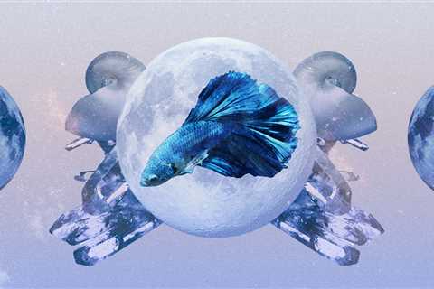 Pisces Monthly Horoscope for May 2023 — Read Your Sign's Love and Career Predictions