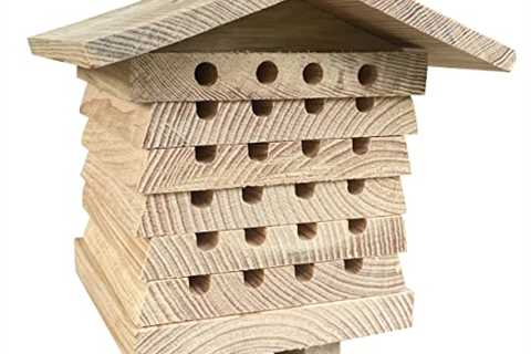 Interactive Wooden Solitary Beekeeping Hive for Insects