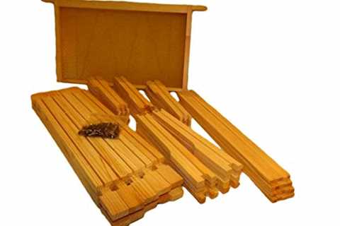 UK Beekeeping Supplies: DN4 x 10 Brood Frames