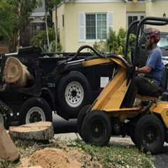 The Ultimate Tree Service Equipment For Maintaining Your Pembroke Pines Trees