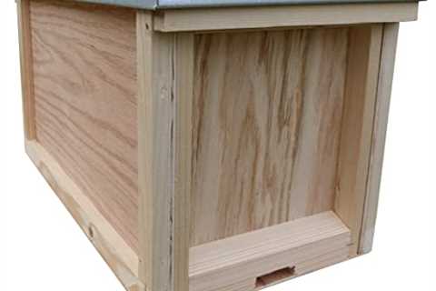 Bee Nucleus Box for Beekeeping Hive