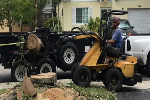 The Ultimate Tree Service Equipment For Maintaining Your Pembroke Pines Trees