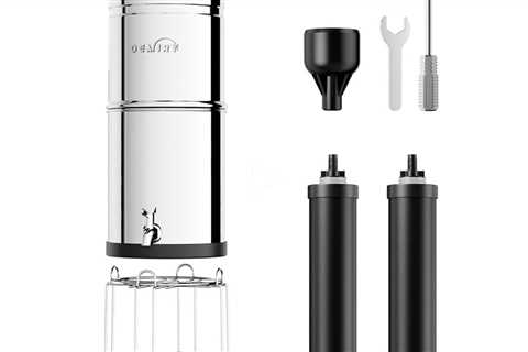 OEMIRY Gravity-Fed Water Filter System, NSF/ANSI Standard, 304 Stainless Steel System