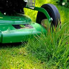 The Ultimate Guide to the Most Popular Lawn Care Products