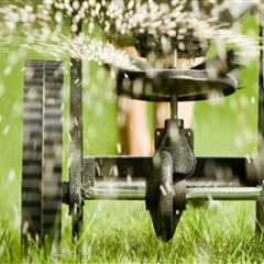 The Essential Ingredients in Lawn Care Products