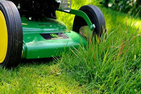 The Ultimate Guide to the Most Popular Lawn Care Products