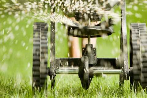 The Essential Ingredients in Lawn Care Products