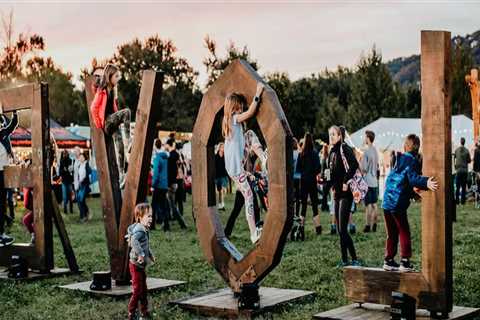 The Parking Dilemma at Shopping Festivals in Central Virginia