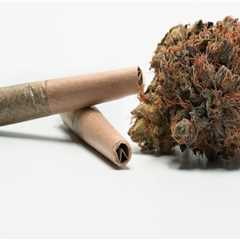 The Ultimate Guide to Opening a Dispensary in Maricopa County, Arizona