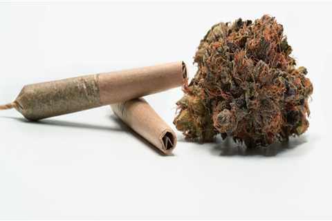 The Ultimate Guide to Opening a Dispensary in Maricopa County, Arizona
