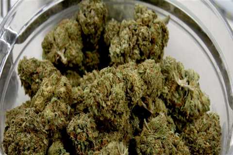 Understanding the Limits on Marijuana Purchases in Maricopa County, Arizona