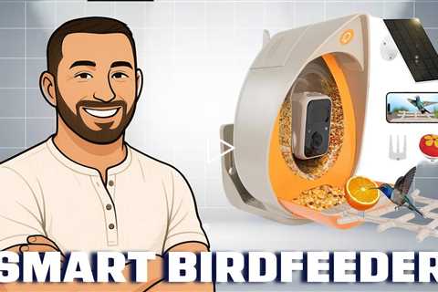PeckPerk Smart Bird Feeder with Solar Panel