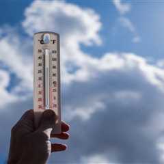 My Boss Owes Me Ice Cream: What Employment Lawyers Actually Say About Working in This Heat