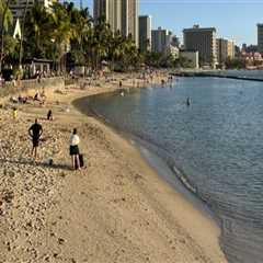 The Ultimate Guide to Shopping in Honolulu County, Hawaii