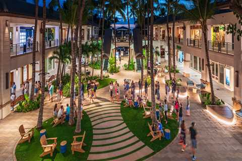 The Ultimate Guide to Pet-Friendly Shopping in Honolulu County, Hawaii