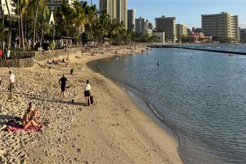 The Ultimate Guide to Shopping in Honolulu County, Hawaii