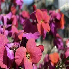 Exploring Eugene, Oregon: The Ultimate Guide to Unique Gift Shops