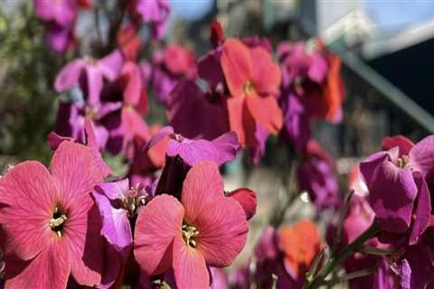 Exploring Eugene, Oregon: The Ultimate Guide to Unique Gift Shops