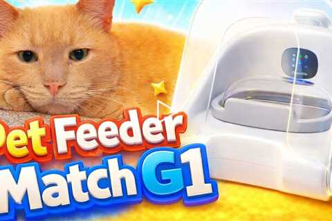 Cheerble Pet Feeder Match G1 - Edge-AI Visual Recognition for Multi-pet Families - APP Control