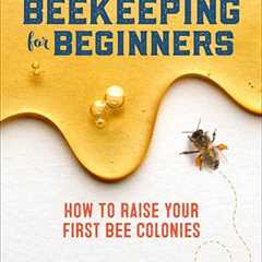 Beekeeping Basics: Start Your First Bee Colony