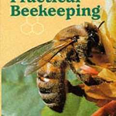 Essential Beekeeping Guide for Starters